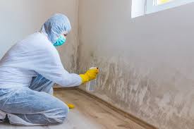 Why You Should Choose Our Mold Remediation Services in Hightstown, NJ